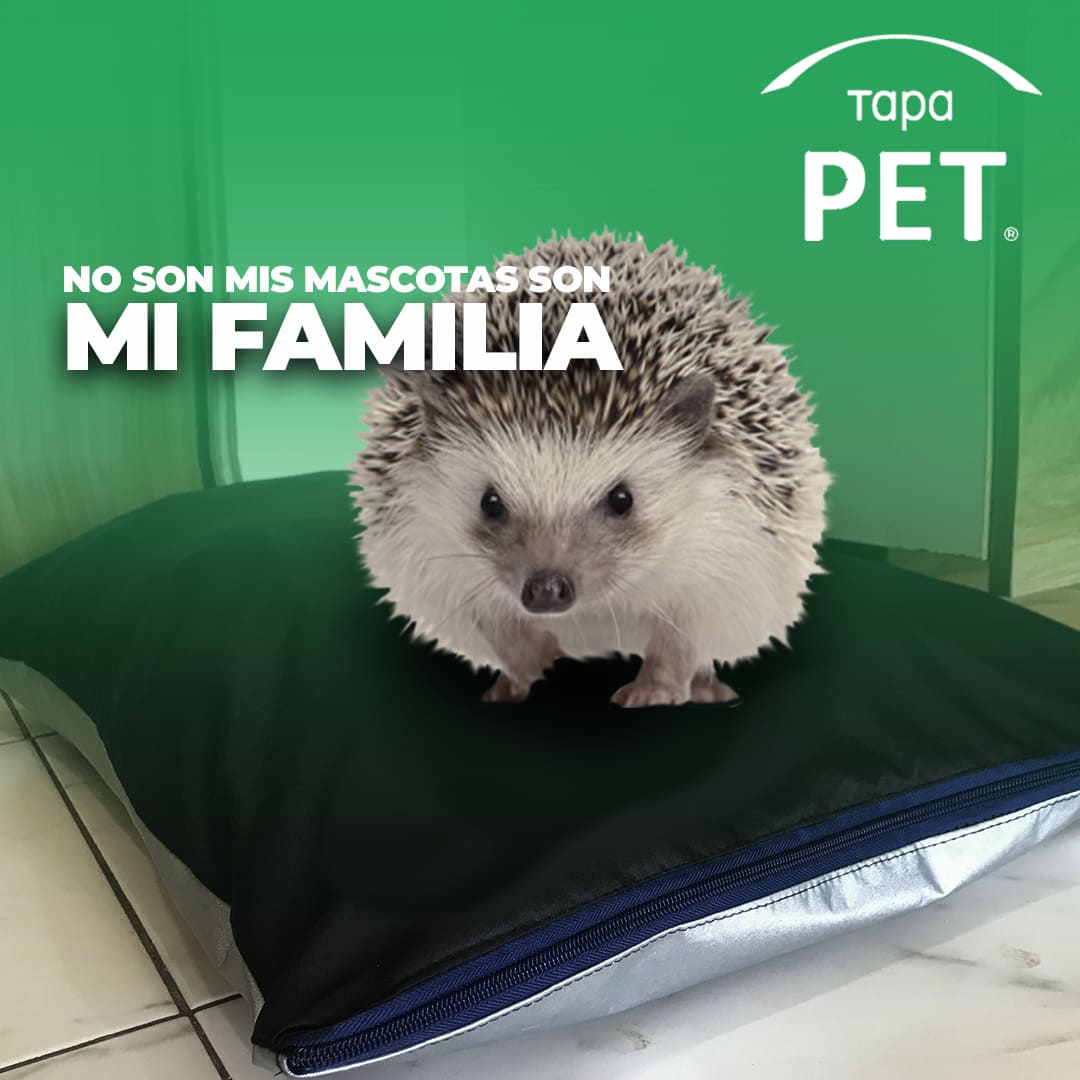 Funda Camita Rellenable